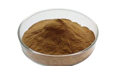 Oranic Maitake Mushroom Extract Powder