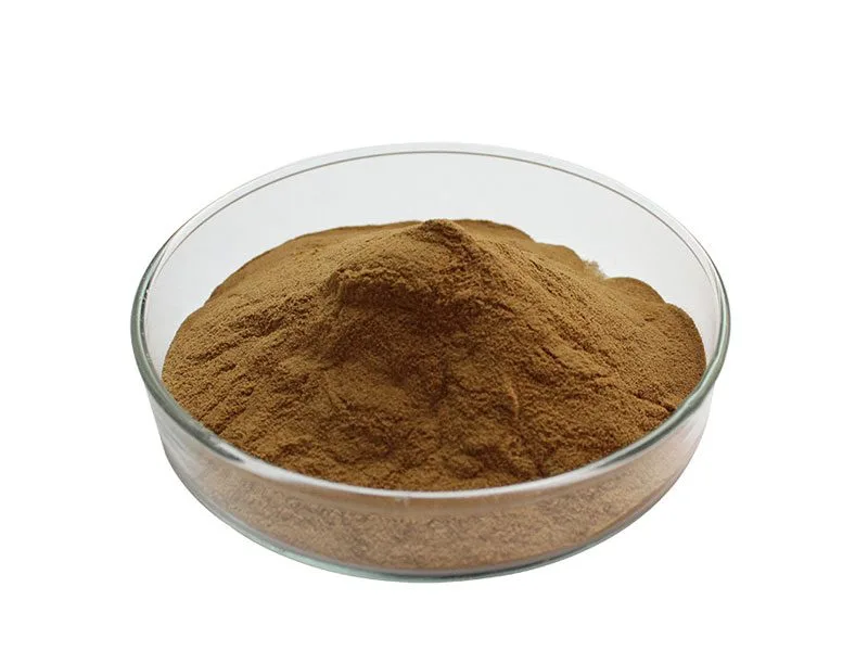 Oranic Maitake Mushroom Extract Powder