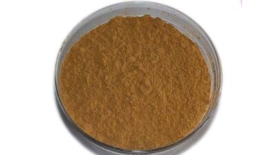 Organic Agaricus Blazei Murill Extract Powder