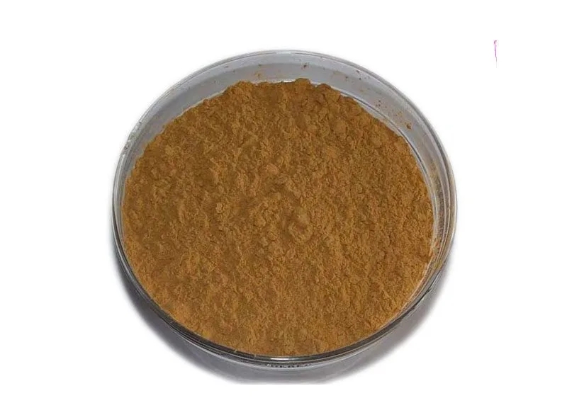아가리쿠스 블라제이 무릴 추출물 분말 Organic Agaricus Blazei Murill Extract Powder