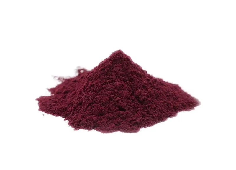 빌베리 추출물 Organic Bilberry Extract