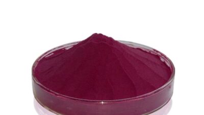 Organic Bilberry Juice Powder