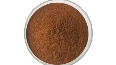 Organic Black Tea Extract Powder