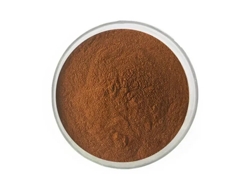 홍차 추출 분말 Organic Black Tea Extract Powder