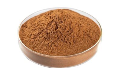 Organic Burdock Root Extract Powder