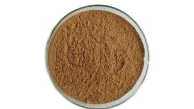 Organic Linden Flower Extract Powder