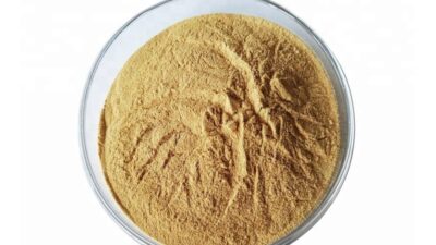 Organic Oats Extract Powder