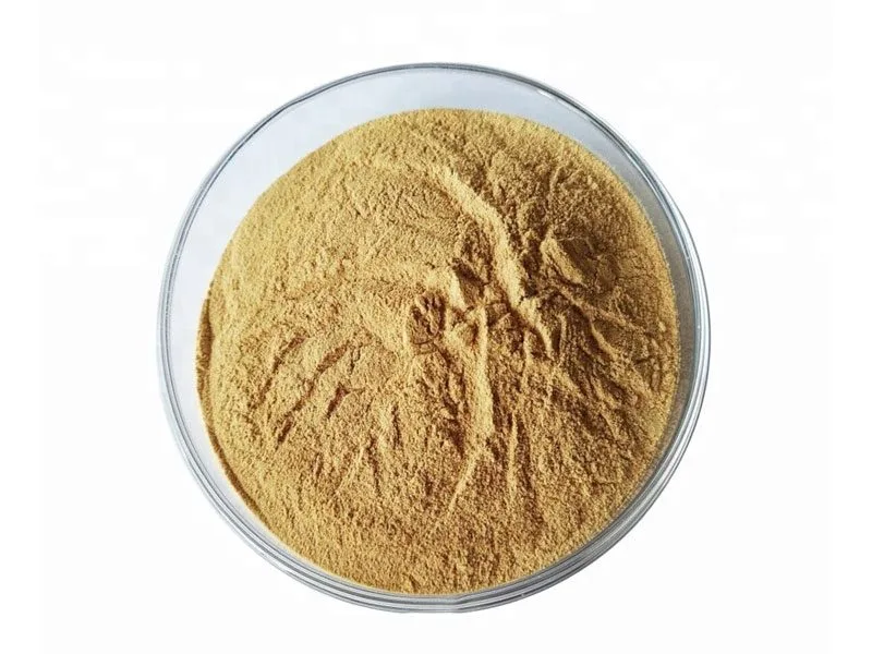 귀리 추출 분말 Organic Oats Extract Powder