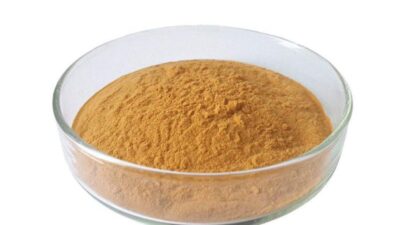 Organic Oolong Tea Extract Powder