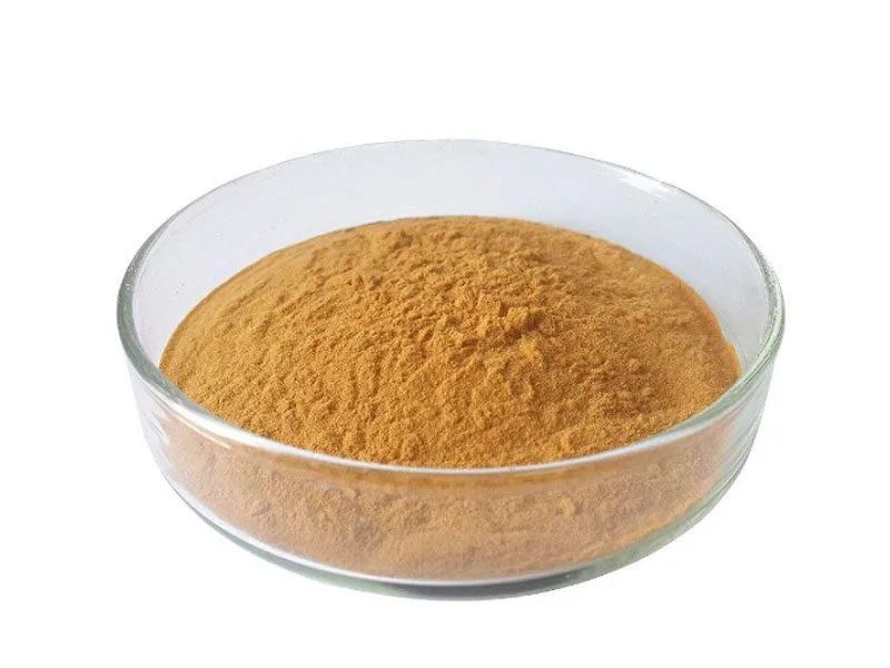 우롱차 추출 분말 Organic Oolong Tea Extract Powder
