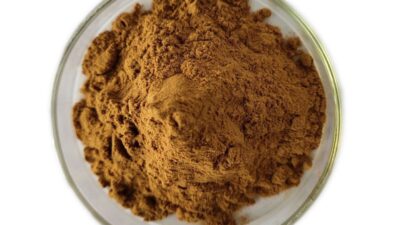 Organic Salvia Miltiorrhiza Extract Powder