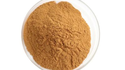 Organic White Tea Extract Powder