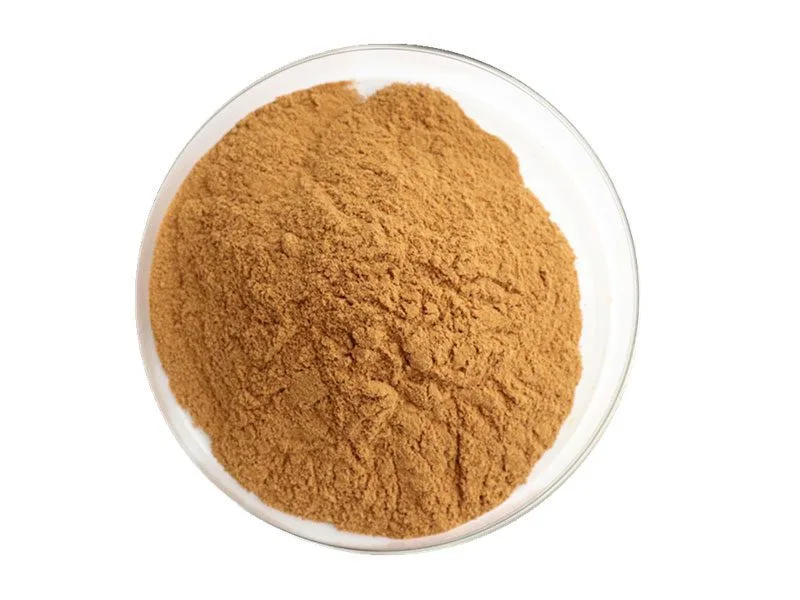 백차 추출 분말 Organic White Tea Extract Powder