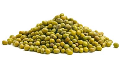 organic mung bean