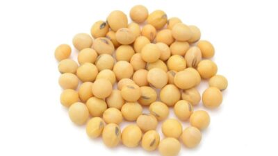 organic soybean