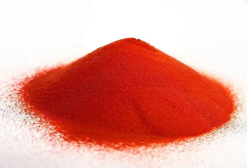 토마토 가루 Organic Tomato Powder