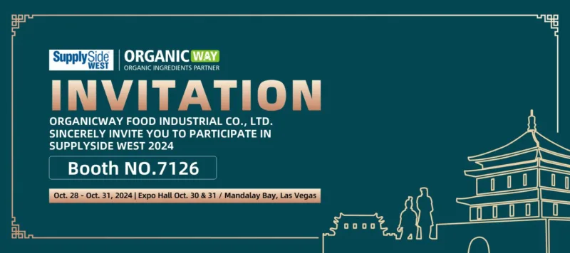 Exhibition Invitation