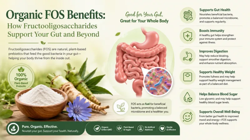 Organic Fos Benefits: How Fructooligosaccharides Support Your Gut And Beyond