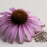 Echinacea Purpurea 추출 분말 구매자 가이드