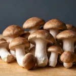 Agaricus Blazei Murill 추출 분말: 효능, 사양 및 제형 구매자 가이드