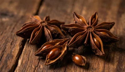팔각회향(Star Anise): 효능, 사양 및 제형 구매자 가이드